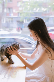 撒娇女人最好命电影